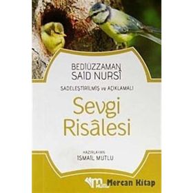 SADELEŞTİRİLMİŞ VE AÇIKLAMALI SEVGI RISALESI (CEP BOY) - BEDİÜZZAMAN SAID NURSI