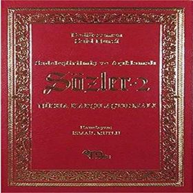 SADELEŞTİRİLMİŞ VE AÇIKLAMALI SÖZLER 2 - BEDİÜZZAMAN SAID NURSI