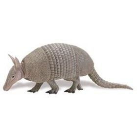 SAFARİ ARMADILLO