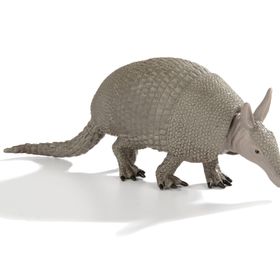 SAFARİ ARMADILLO