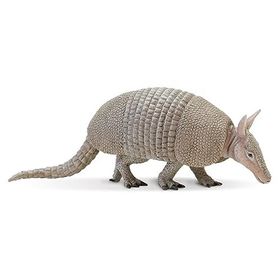 SAFARİ ARMADILLO