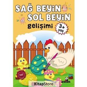 Sağ Beyin-Sol Beyin Gelişimi (3+ Yaş) - Kollektif