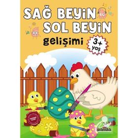 Sağ Beyin-Sol Beyin Gelişimi (3+ Yaş) - Kollektif