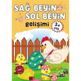 Sağ Beyin-Sol Beyin Gelişimi (3+ Yaş) - Kollektif