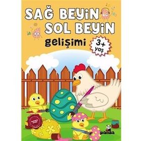 Sağ Beyin-Sol Beyin Gelişimi (3+ Yaş) - Kollektif