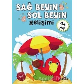 Sağ Beyin-Sol Beyin Gelişimi (4+ Yaş) - Kollektif