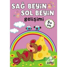 Sağ Beyin-Sol Beyin Gelişimi (5+ Yaş) - Kollektif