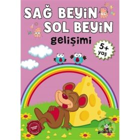 Sağ Beyin-Sol Beyin Gelişimi (5+ Yaş) - Kollektif