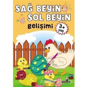 Sağ Beyin ve Sol Beyin Gelişimi 3 Yaş - Beyaz Panda Yayınları