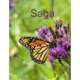 SAGA AVATAR TARIHI-2 - CONOR KOSTICK