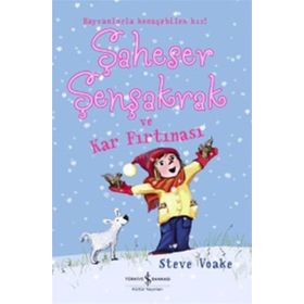 Şaheser Şenşakrak ve Kar Fırtınası - Steve Voake