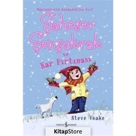 Şaheser Şenşakrak ve Kar Fırtınası - Steve Voake