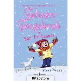 Şaheser Şenşakrak ve Kar Fırtınası - Steve Voake