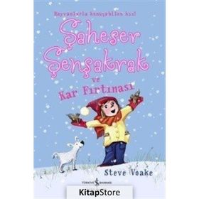 Şaheser Şenşakrak ve Kar Fırtınası - Steve Voake