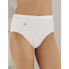 Şahinler MB018 6'lı Kadın Külot