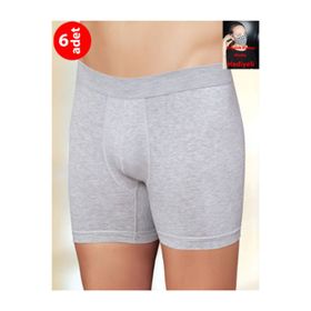 Şahinler ME031 Gri 6'lı Paket Likralı Boxer