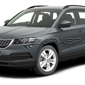 Sahler Skoda Karoq 2018 4.5D Havuzlu Paspas