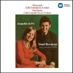 SAINT SAENS - MICHAEL STEGEMANN