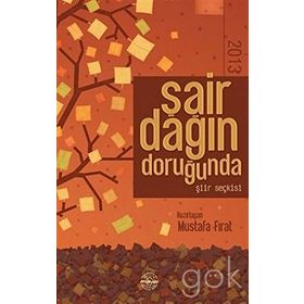 Şair Dağın Doruğunda 2013 - Mustafa Fırat