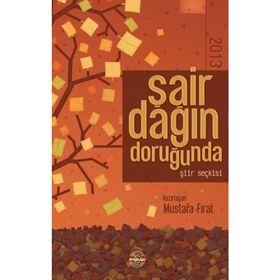 Şair Dağın Doruğunda 2013 - Mustafa Fırat
