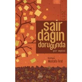 Şair Dağın Doruğunda 2013 - Mustafa Fırat