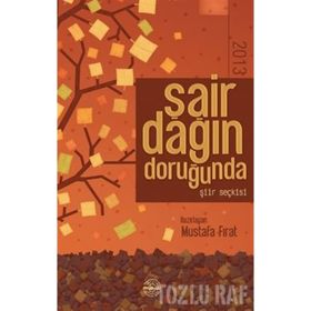 Şair Dağın Doruğunda 2013 - Mustafa Fırat