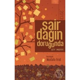 Şair Dağın Doruğunda 2013 - Mustafa Fırat