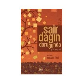 Şair Dağın Doruğunda 2013 - Mustafa Fırat