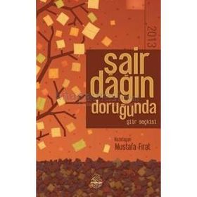 Şair Dağın Doruğunda 2013 - Mustafa Fırat