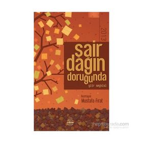 Şair Dağın Doruğunda 2013 - Mustafa Fırat