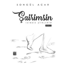 Şairimsin - İsimsiz Şiirlerim - Songül Acar