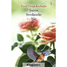 Şairin Sevdasıdır Şiir - Yusuf Ercan Kadıoğlu