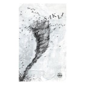 Saklı Şiirler - Kenan Bıyıklı