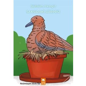 Saksıdaki Sürpriz - Gülsüm Cengiz