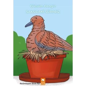 Saksıdaki Sürpriz - Gülsüm Cengiz