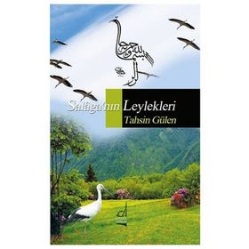 Salaga'nın Leylekleri - Tahsin Gülen