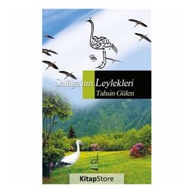 Salaga'nın Leylekleri - Tahsin Gülen