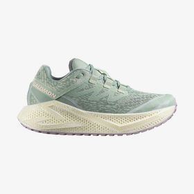 Salomon Aero Glide 3 Grvl Kadın Koşu Ayakkabısı