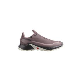 Salomon Alphacross 5 Gtx W Kadın Koşu Ayakkabısı