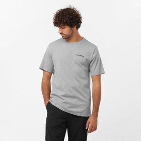 Salomon Graphic Perf SS Tee M Gri Erkek Koşu T-Shirt