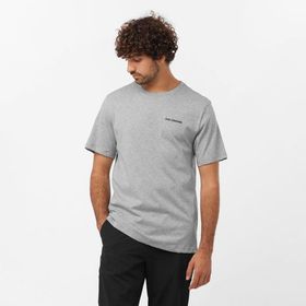 Salomon Graphic Perf SS Tee M Gri Erkek Koşu T-Shirt