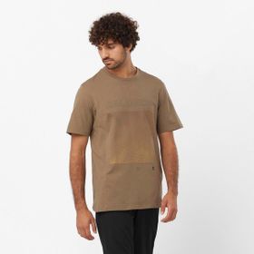 Salomon Graphic SS Tee Kahverengi Erkek T-shirt