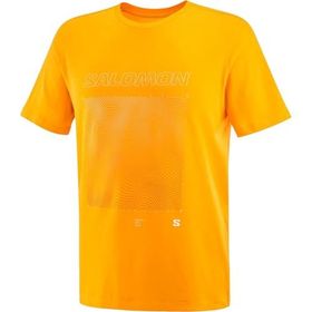 Salomon Graphic SS Tee Turuncu Erkek T-shirt