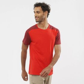 Salomon LC1716000 Essential Colorbloc Bisiklet Yaka Düz Kırmızı Erkek T-shirt