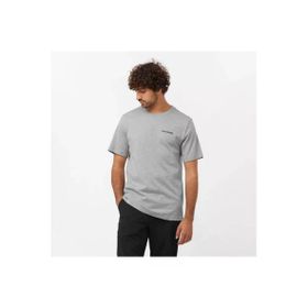 Salomon Lc2219600 Graphic Perf Ss Tee M Erkek Tişört