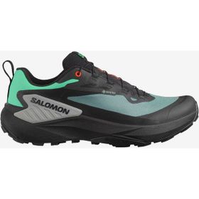 Salomon North Atlantic L47688300 Siyah GENESIS GORE-TEX Erkek Koşu Ayakkabısı