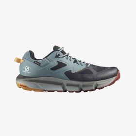Salomon Predict Hike Mid Gtx Gri Erkek Kısa Bot