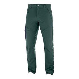 Salomon Wayfarer Gri Erkek Pantolon