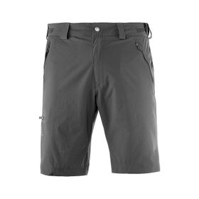 Salomon Wayfarer Gri Erkek Pantolon