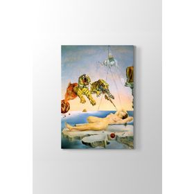 Salvador Dali - Dream Caused Tablosu